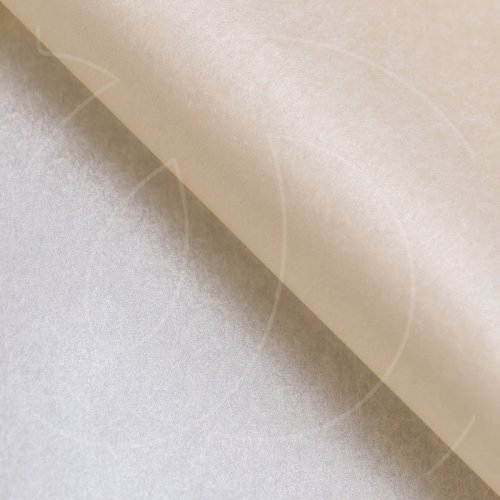 Бумага упаковочная Тишью Натуральный жемчуг 50х66 см 10 шт 9618350